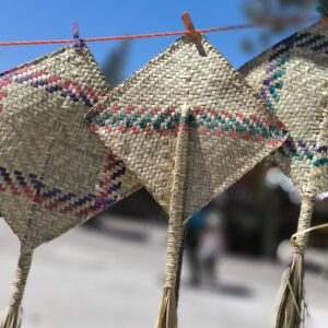 IMG_20240211_115129