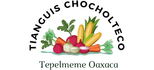 logo-final