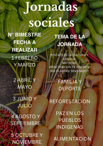Jornadas sociales